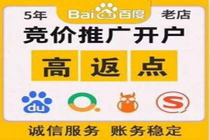 深度解析：百度推广费用与ROI的关联案例